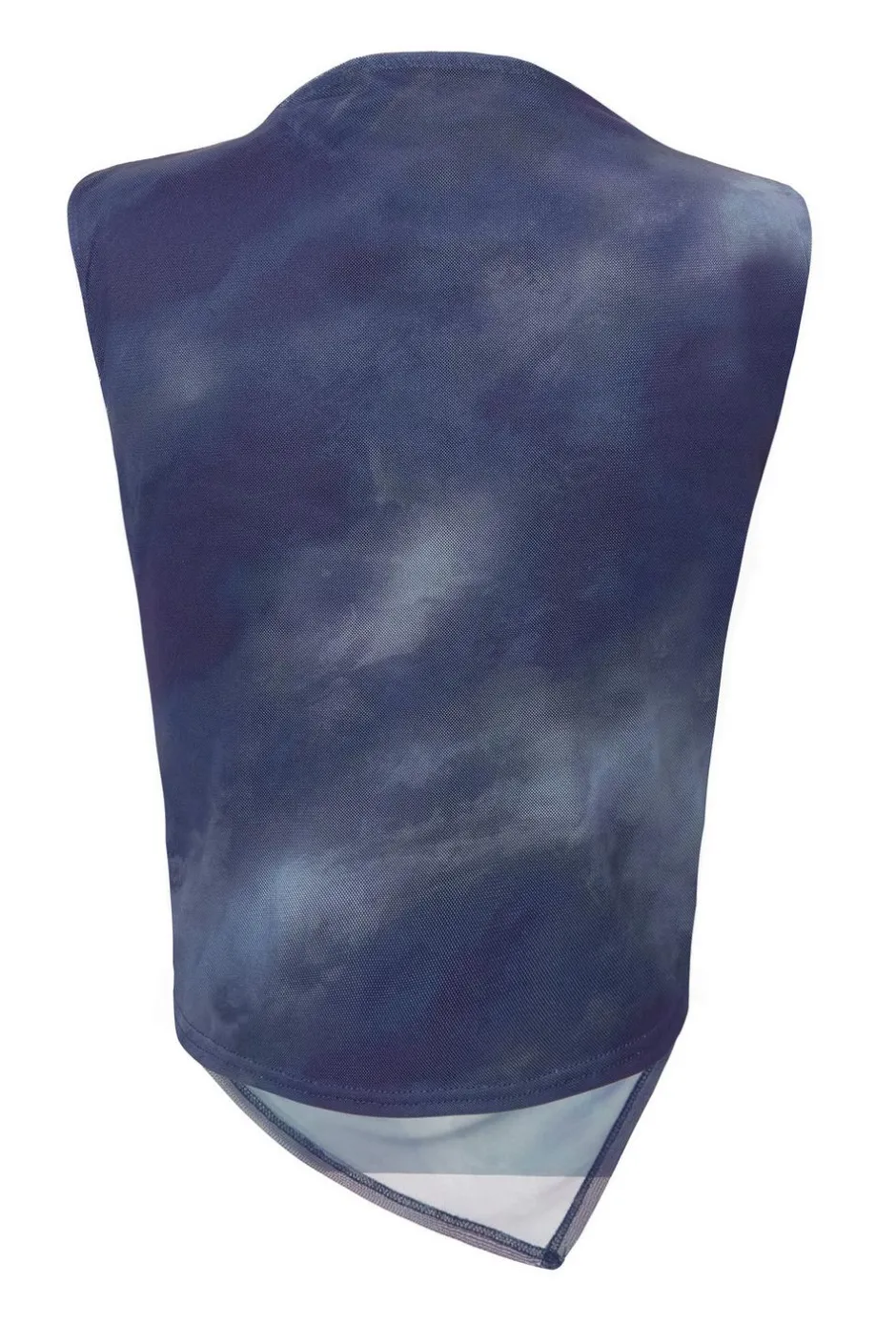 Quiz Printed Mesh Crop Top Blue Hot
