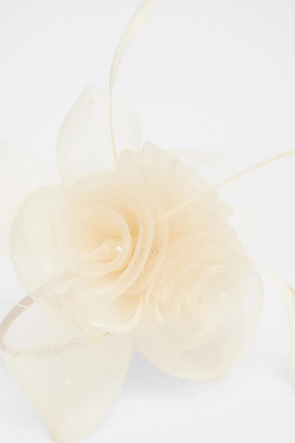 Quiz Flower Headband Fascinator Champagne Clearance