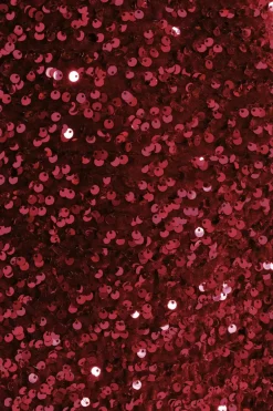 Quiz Curve Dark Red Sequin Maxi Dress Berry Best