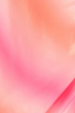 Quiz Curve Pink Ombre Bardot Midi Dress New