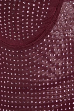 Quiz Dark Red Embellished Maxi Dress Berry Online