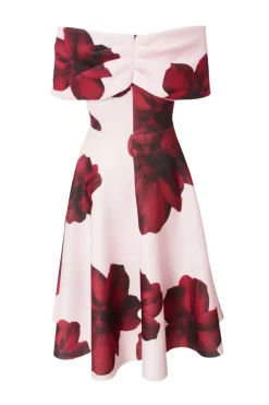 Quiz Petite Blush Bardot Floral Skater Dress Clearance