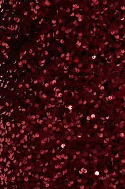 Quiz Petite Dark Red Sequin Maxi Dress Hot