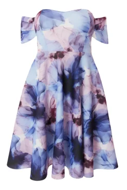 Quiz Petite Light Blue Floral Skater Dress Best