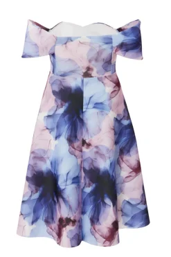 Quiz Petite Light Blue Floral Skater Dress Best