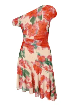 Quiz Red Mesh Floral Mini Dress Online