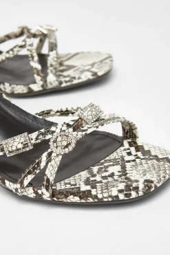 Quiz Snake Print Buckle Strap Heels Multi Outlet